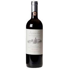 Castello Vicchiomaggio Chianti Classico Riserva "Agostino Petri" 2007