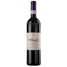 Costa di Bussia Barolo 2004
