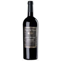 Tenuta sant Antonio Amarone "Campo dei Gigli" 2004