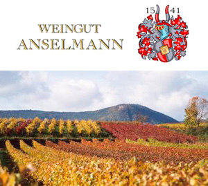 Weingut Anselmann - topkvalitet af tysk hvidvin
