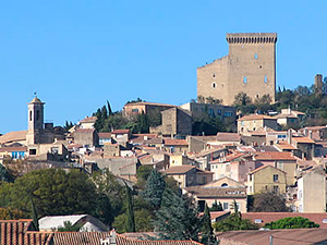 Châteauneuf-du-Pape er den største appellation i Rhône med ca. 3.200 hektar vinmarker.
