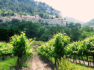 Cotes du rhone rødvine