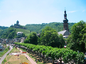 Mosel hvidvin produceres her